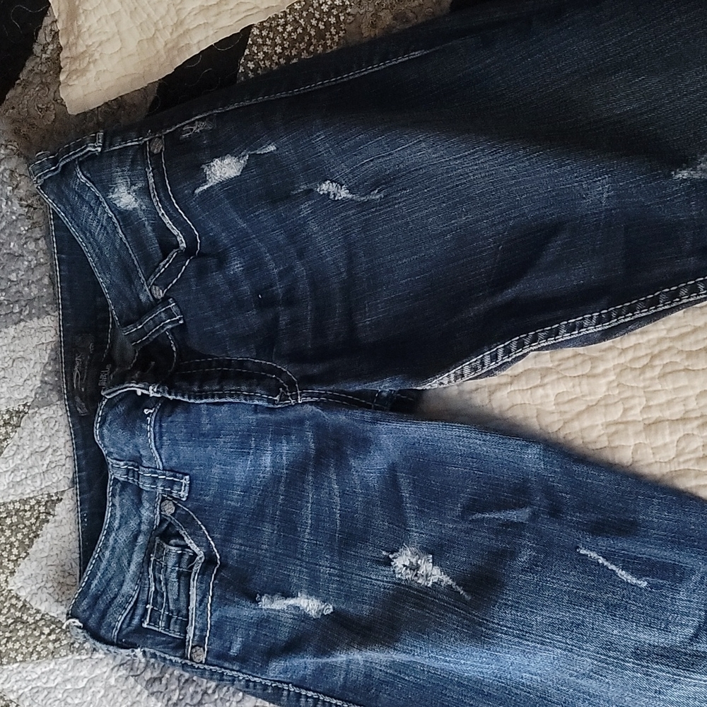 Silver Suki Surplus Distressed